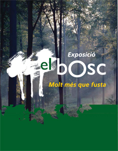 Exposició 'El bosc' a la Gorga fins el 7 d'agost.