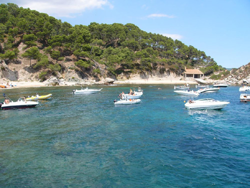 Un paisatge de l'EIN Castell-Cap Roig, a l'estiu.
