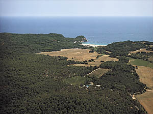 Castell, un dels espais naturals del municipi de Palamós.