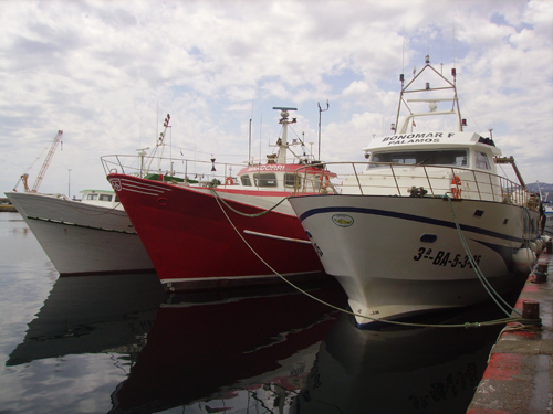 Embarcacions de pesca al port de Palamós, en una imatge d'arxiu.