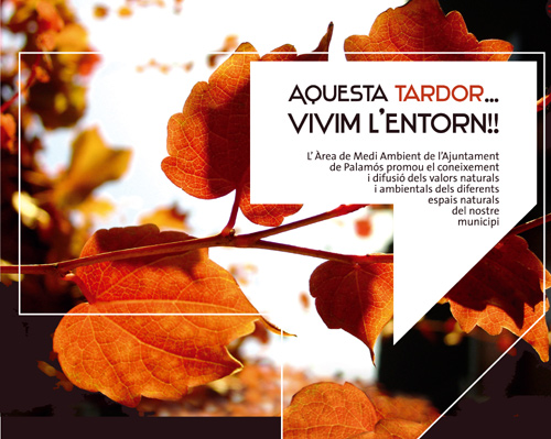 Activitats de tardor de l'Àrea de Medi Ambient.