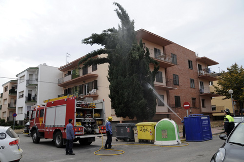 Els bombers apaguen el foc de l'arbre, dissabte passat. (Fotografia cedida per Josep Lois).
