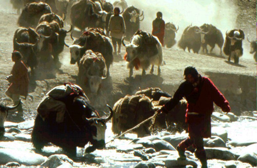 Un fotograma de la pel·lícula 'Himalaya'.