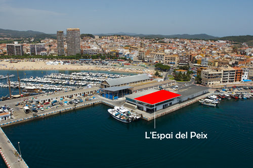 Ubicació de l'equipament 'Espai del Peix'.