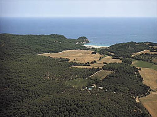 Castell, un dels espais naturals més emblemàtics de Palamós.