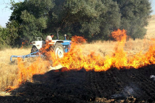 Es prohibeixen les cremes en zones forestals a causa del vent.