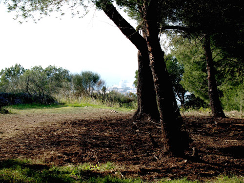 Una imatge del terreny cremat a Cap Gros.