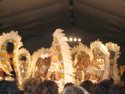 Exhibició de comparses al Carnaval de Palamós, en una imatge d'arxiu.