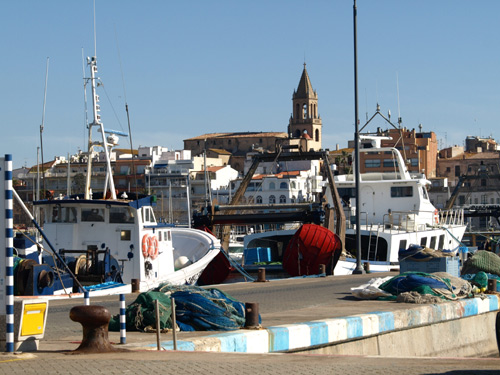 Embarcacions de pesca al port de Palamós, aquest matí.