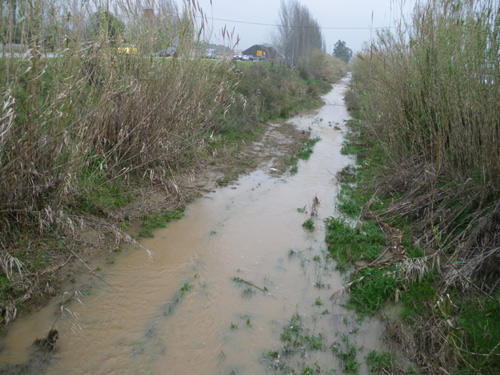 La riera Aubi, vista des del Pont de Ferro, aquest migdia.