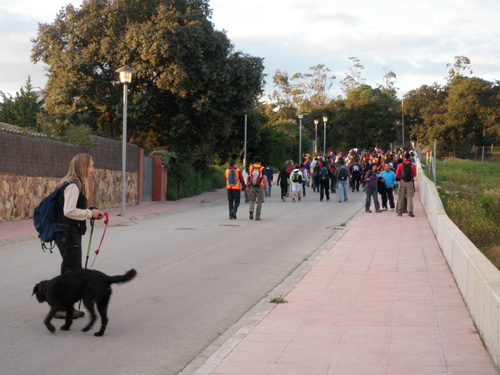 Un moment de la marxa popular del passat dissabte.