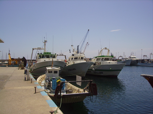 El moll pesquer del port de Palamós.