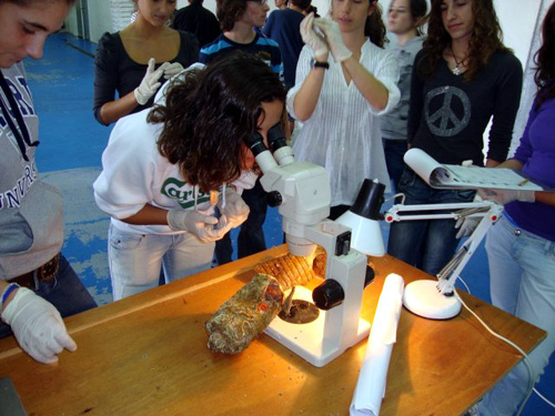 Un grup d'escolars treballant en el projecte 'Comsom'.