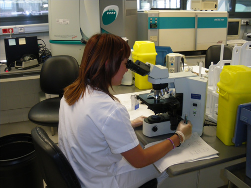 Un laboratori de l'hospital de Palamós.