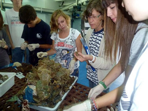 Els escolars han participat en l'anàlisi de plàstics recollits al mar a Palamós.