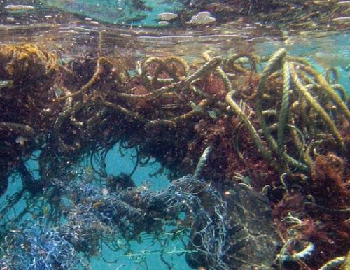 Les xarxes abandonades són un perill per al medi marí.