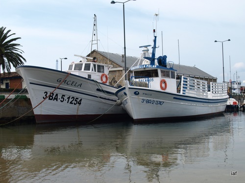 Les 'barques del peix', al moll Vell.