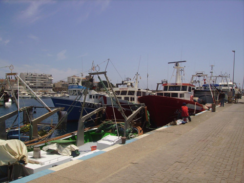 Barques de pesca al port de Palamós.