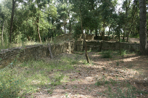 El molí Mas Xifra de Vall, a prop del Mas Antoniet.