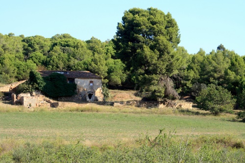 El Mas Gallardó, a la zona del puig Xifra.