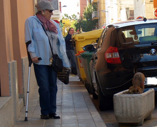 L'ordenança regularà les accions dels animals a la via pública.