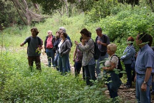 Activitats centrades en el bosc, aquesta tardor a Palamós.