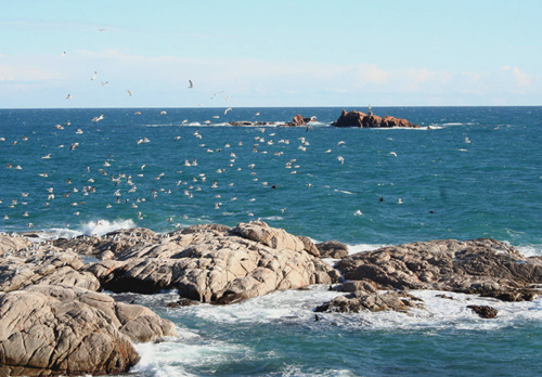 Un aspecte de les illes Formigues.