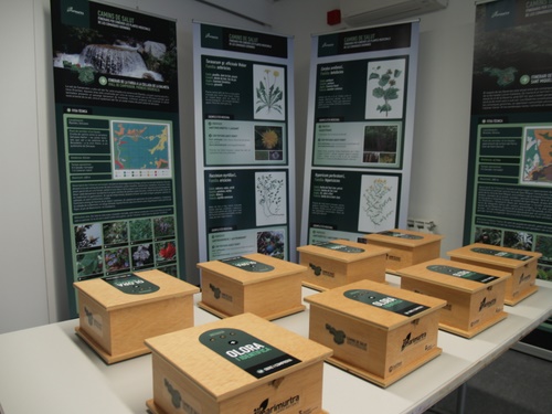 Imatge de l'exposició sobre plantes medicinals, a l'Espai del Barri.