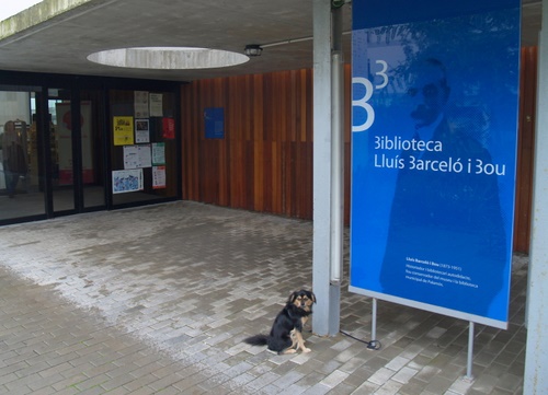 La biblioteca Lluís Barceló i Bou de Palamós.