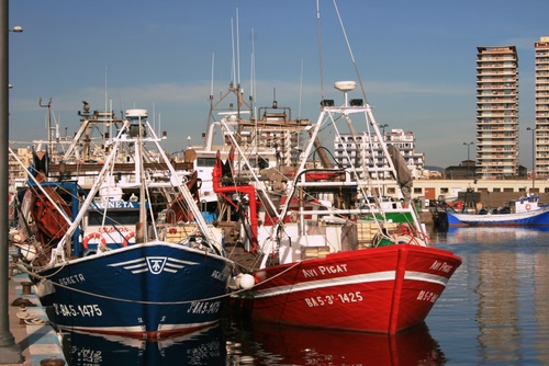 Embarcacions de pesca al port de Palamós.