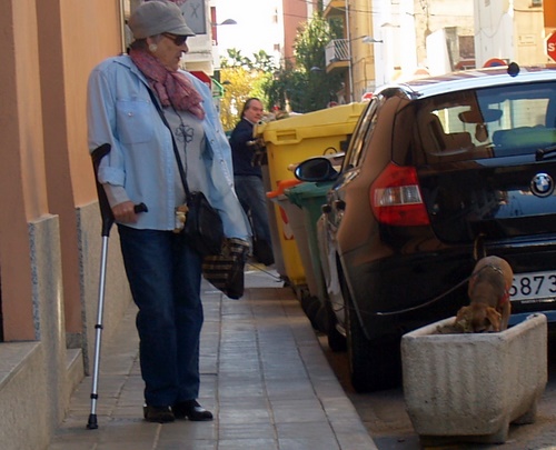 L'Ajuntament vol que els amos recullin els excrements dels gossos.