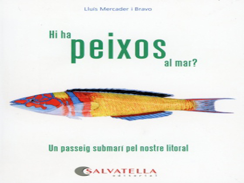 El llibre de Lluís Mercader es presenta avui a Girona.