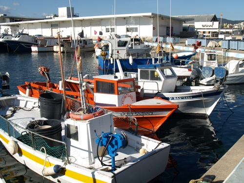 El sector pesquer de Palamós ha decidit autoregular-se.