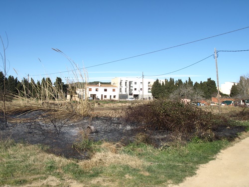Un camp que es va cremar a Palamós fa unes setmanes.
