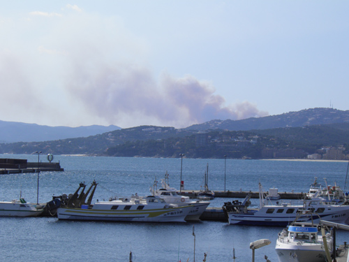 Columna de fum de l'incendi de Solius, vista des de Palamós. (Foto: Jordi Salvador).