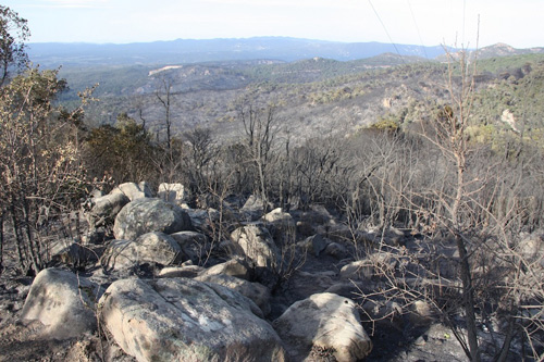 El foc de l'Ardenya va cremar 393 hectàrees a Santa Cristina, Llagostera i Tossa.