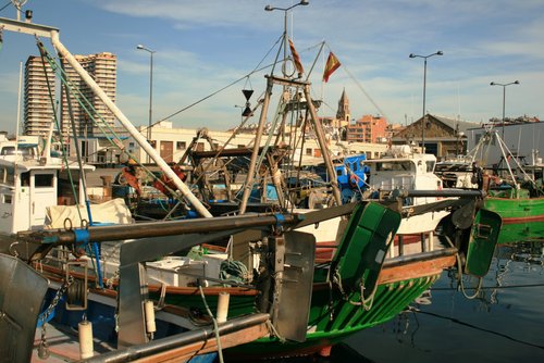 Vaixells de pesca al port de Palamós.