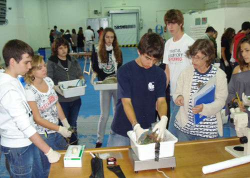 Escolars treballant en el projecte 'Consom'.