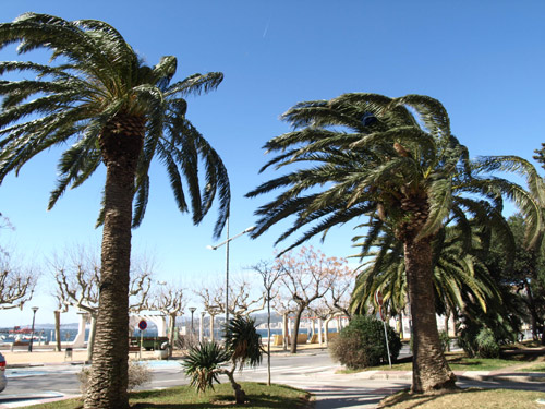 El vent de tramuntana serà protagonista a Palamós en les pròximes hores.
