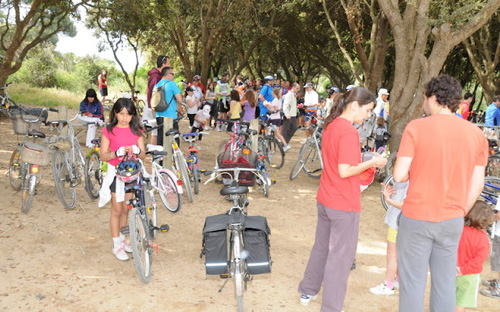 La Festa del Pedal de Sant Joan, en una foto d'arxiu. (Foto: Enric Xicars).