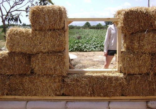 Visita a 'L'Horta de la Viola', aquest diumenge.