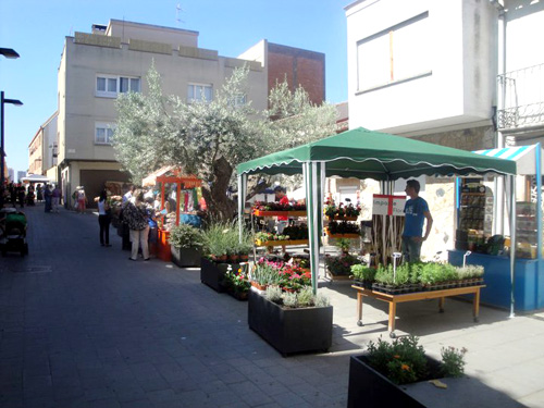 'Sant Joan Florit' en una imatge d'arxiu.