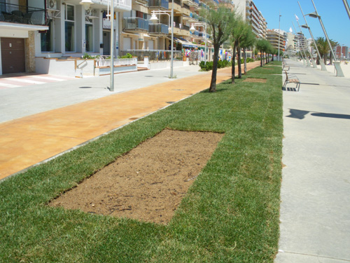 Un dels trams del passeig ja finalitzats.