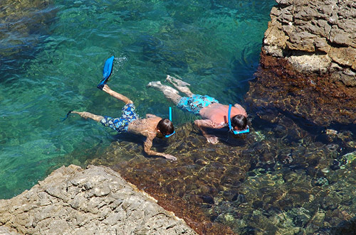 Esnorquel, demà al matí al litoral de Castell-Cap Roig.