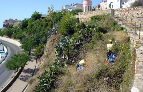 Neteja del penya-segat de Les Pites.