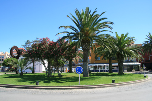 Palmeres al giratori del port de Palamós.