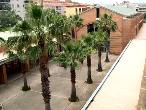IES Palamós