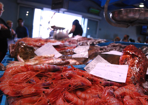 La gamba concentra el gruix de la facturació dels pescadors palamosins.