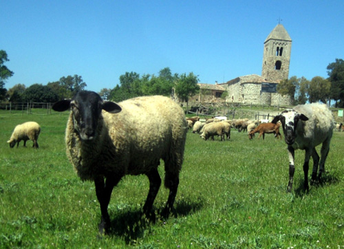 Els premis distingeixen la difusió dels valors de les Gavarres.