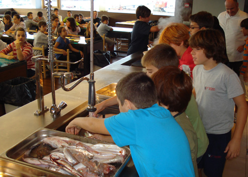 Escolars de Palamós fent activitats a l'Espai del Peix.